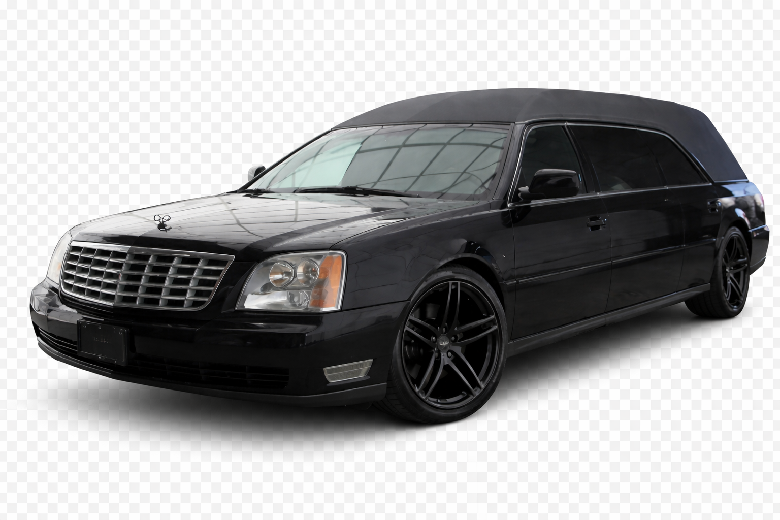 Professional Pet Transport Vehicle